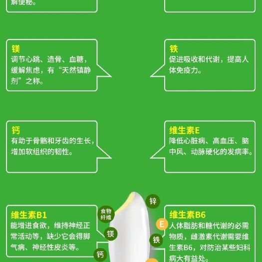 五常市东北大米 一等品 一季稻 粳米