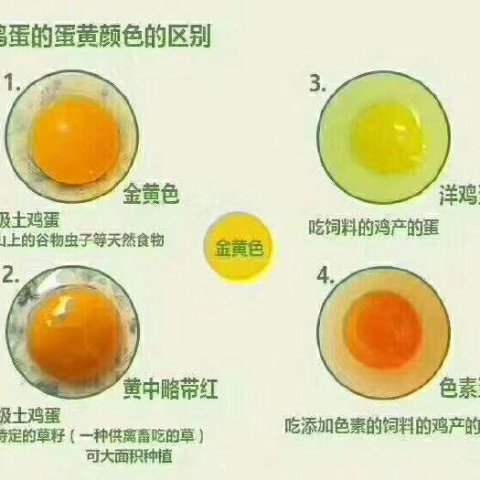 富民县土鸡蛋   