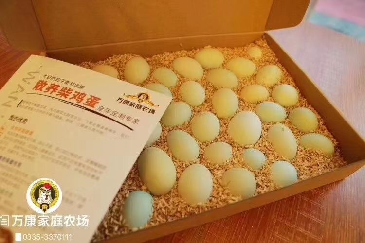 秦皇岛富硒鸡蛋 食用 礼盒装