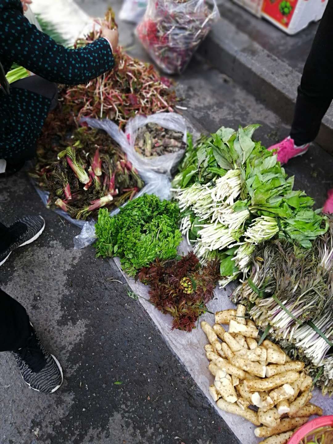 刺老芽 散装 露天 鲜货