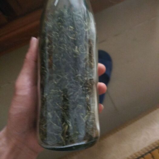 广州高山野生茶 3年以上