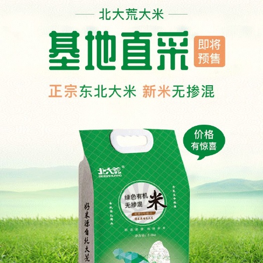 城步县竹子