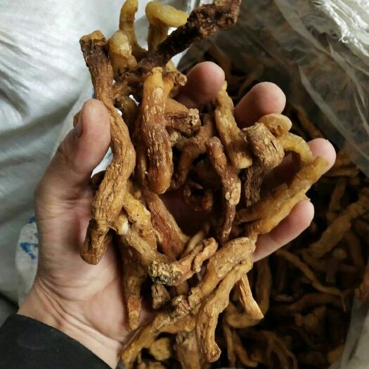 保康县 黄精块