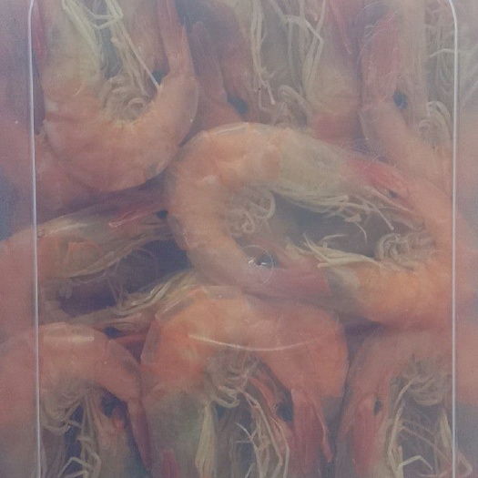 滨州海米