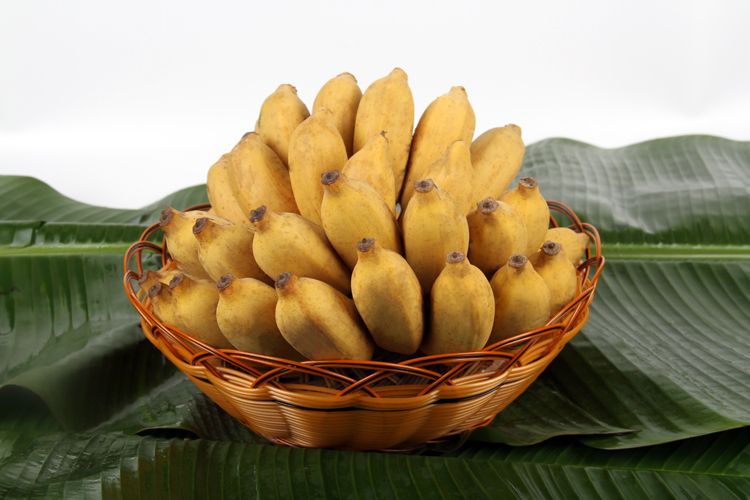 君懿农业新鲜水果酸甜小米蕉皇帝蕉非海南香蕉芭蕉