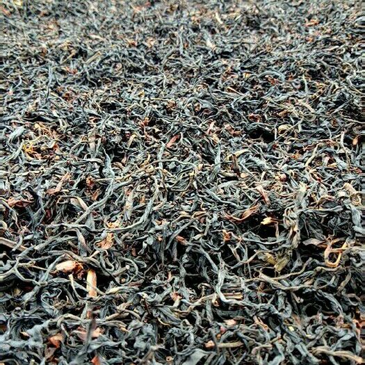 盈江县野生红茶 特级 散装 大量销售