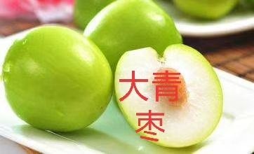 灵山县大青枣苗