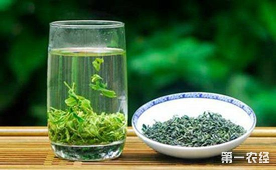 万源市 万源富硒绿茶