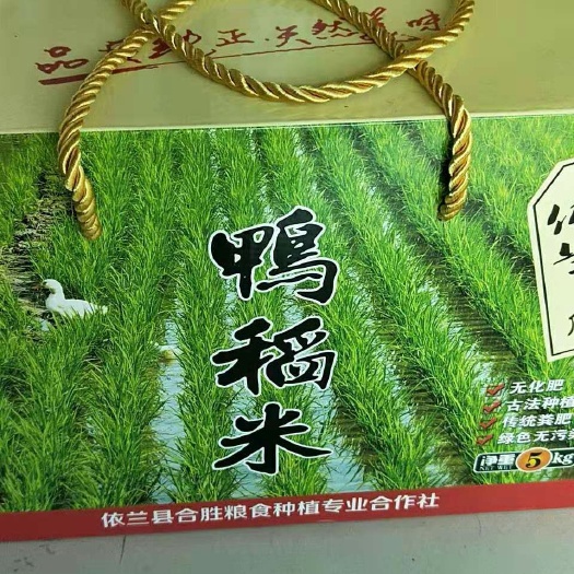 依兰县东北大米 一等品 一季稻 粳米