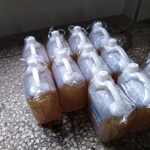 长沙县现榨山茶油