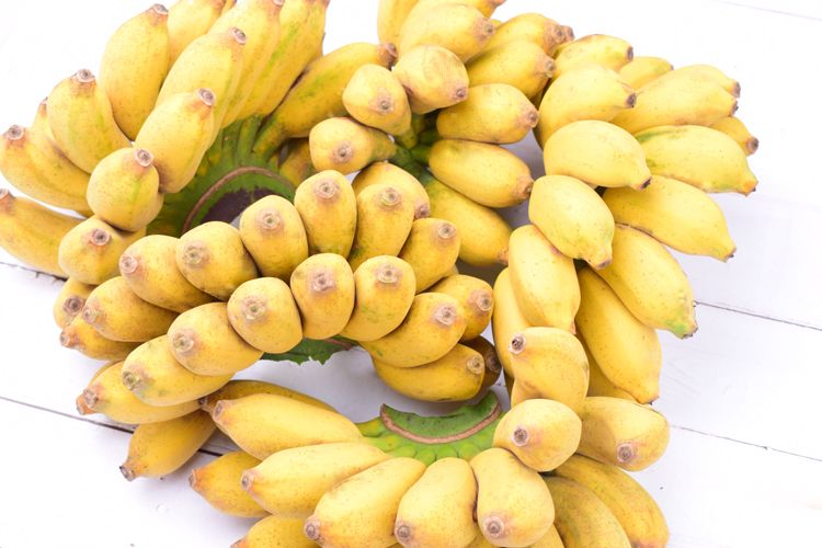 君懿农业新鲜水果酸甜小米蕉皇帝蕉非海南香蕉芭蕉