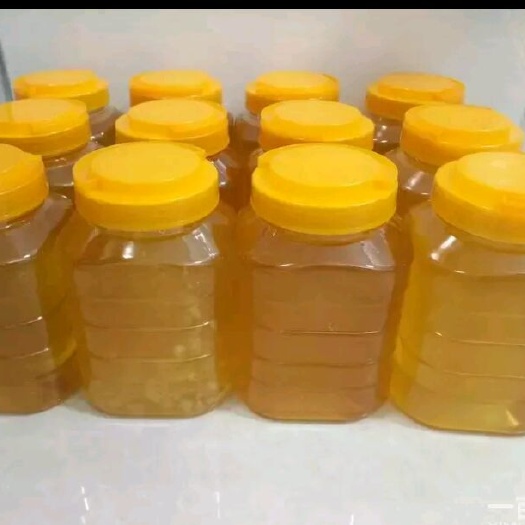 大连椴树蜜 塑料瓶装 2年 