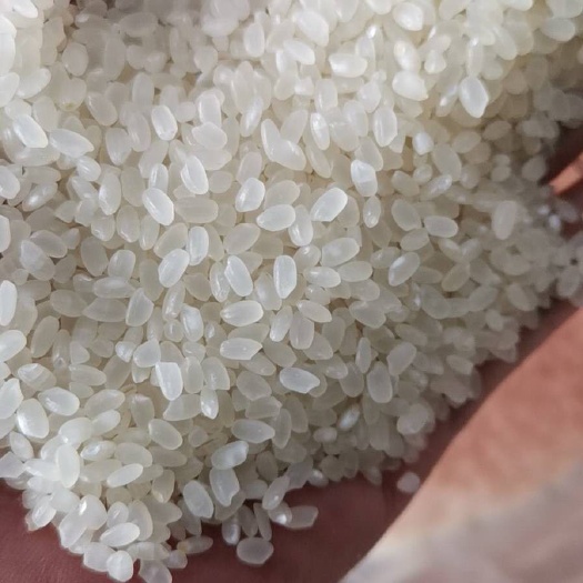 鱼台县东北大米 一等品 晚稻 粳米