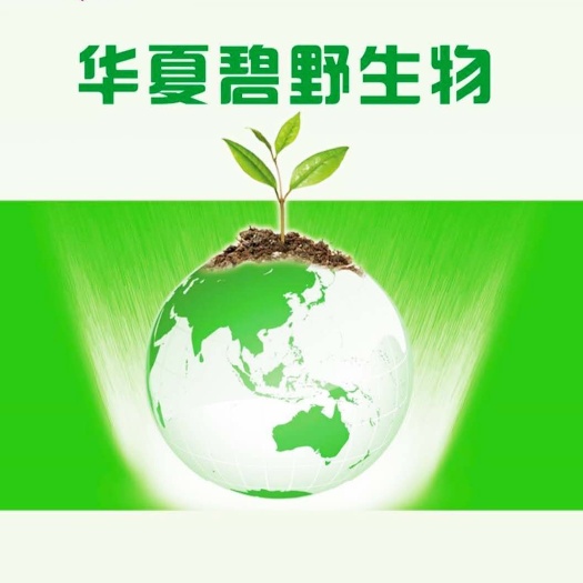 滕州市氨基酸肥料