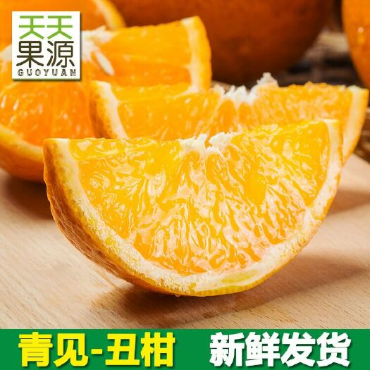 新余香蜜橙 100mm以上