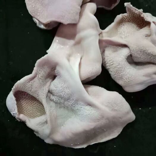 沈阳牛肚