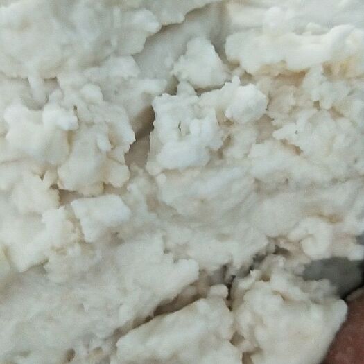 富源县芭蕉芋淀粉