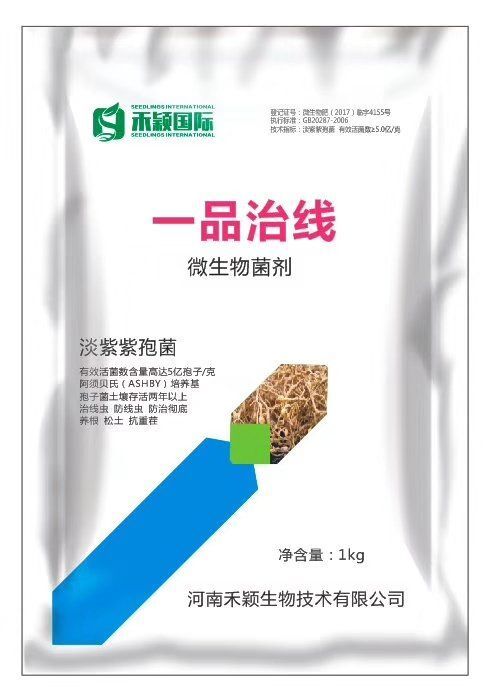 新密市淡紫紫孢菌
