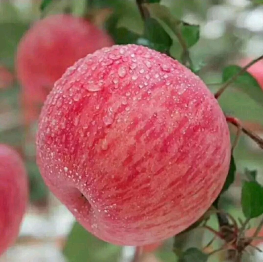 츻ʿƻ  ʺ츻ʿ10