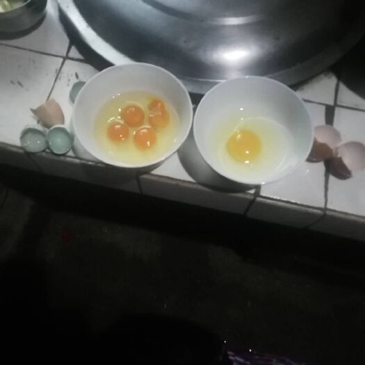 驻马店绿壳鸡蛋 食用 箱装