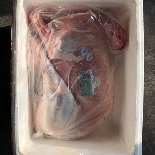 新右旗呼伦贝尔羔羊肉  生肉 内蒙古烤全羊