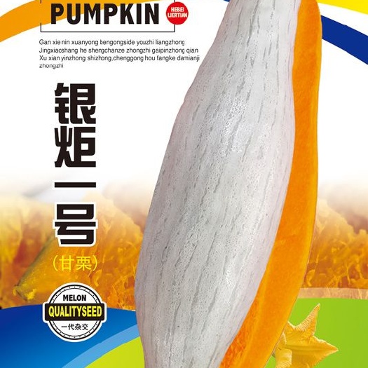 贵族南瓜种子  90% 粒尔田银炬一号南瓜