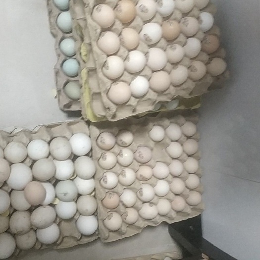 西安土鸡蛋 食用 简包装