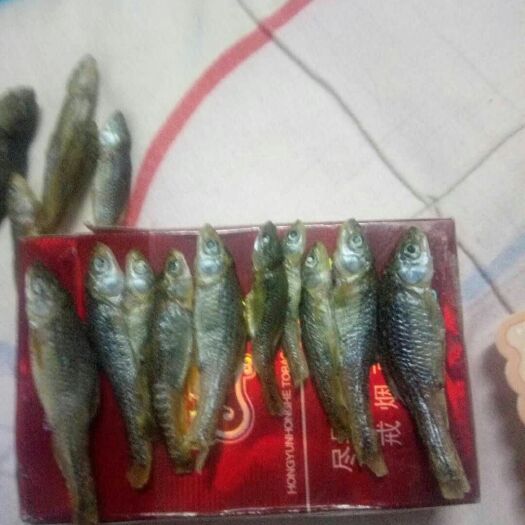 辉南县麦穗鱼干