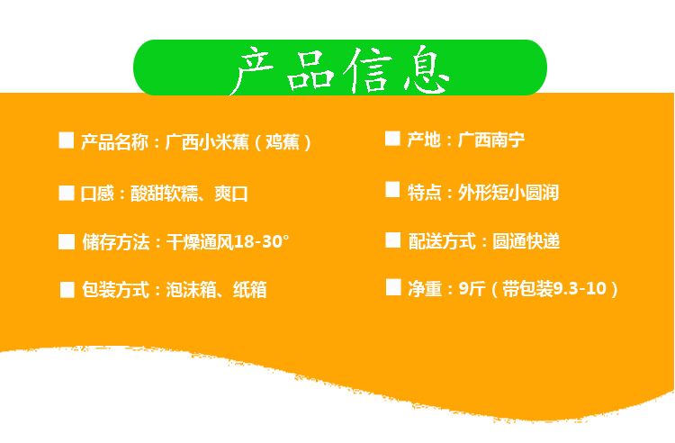 君懿农业新鲜水果酸甜小米蕉皇帝蕉非海南香蕉芭蕉