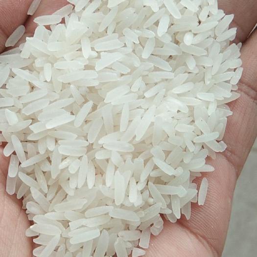 重庆市泰国香米 一等品 晚稻 籼米