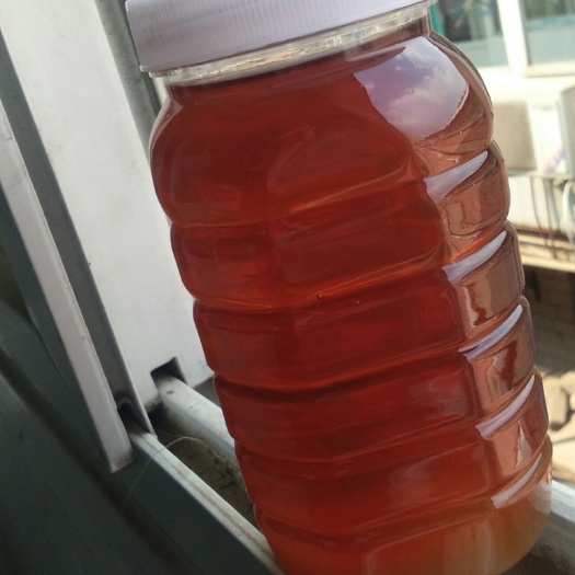 凌源市荆花蜜 塑料瓶装 2年 98% 荆条蜜