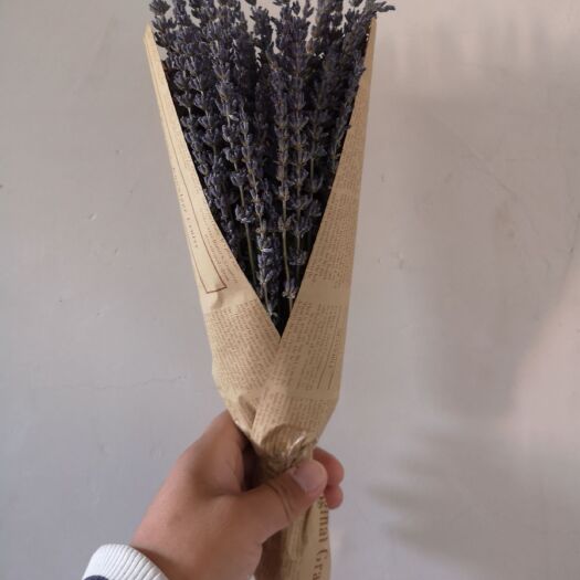 霍城县 薰衣草干花花束