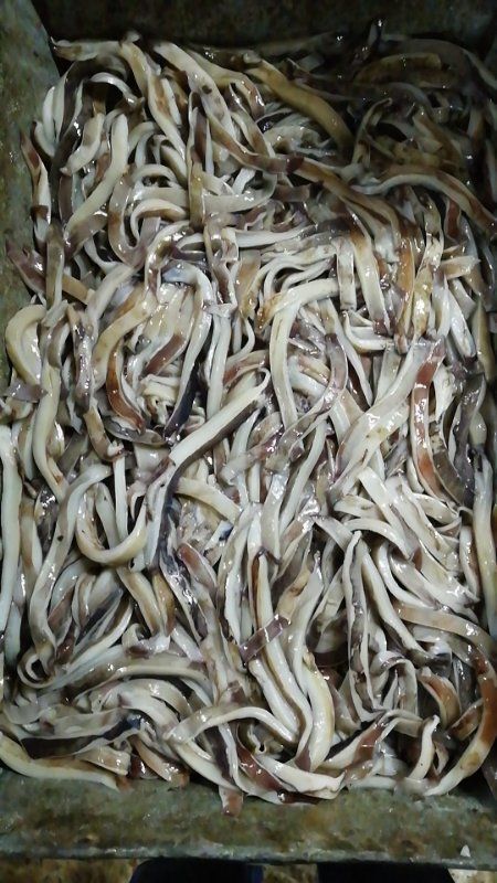 烟台秘鲁鱿鱼 秘鲁鱿鱼耳切条