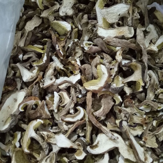 南涧县干牛肝菌 袋装 1年以上