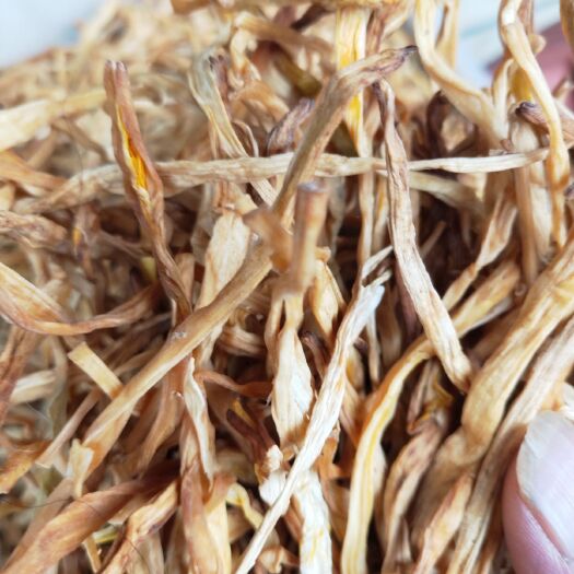成都 黄花菜绿色健康美食！凉拌！炖汤