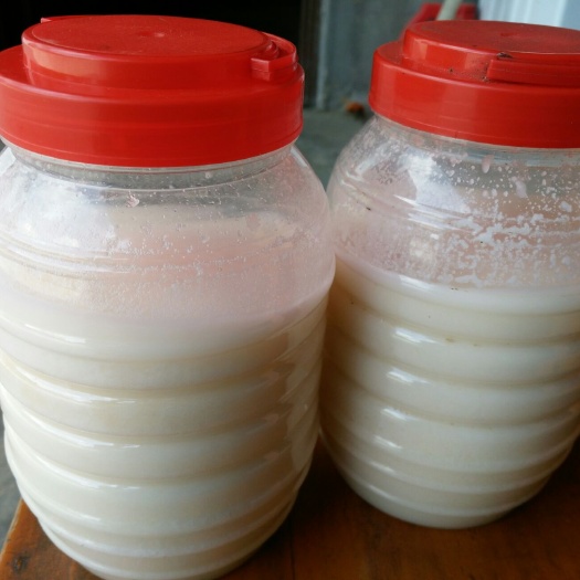 江油市土蜂蜜 塑料瓶装 2年 