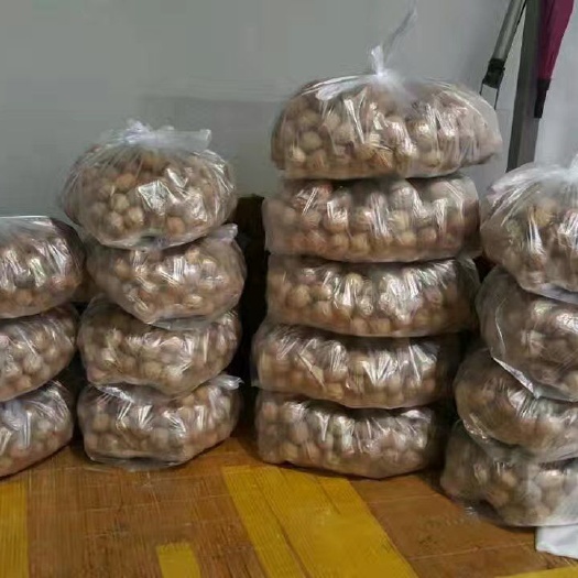 葫芦岛现榨核桃油