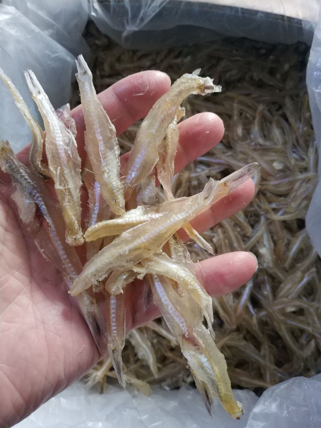 小魚(yú)干  銀魚(yú)，水晶魚(yú)，無(wú)頭白凡魚(yú)，