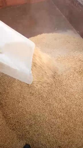 龙井市延边大米 一等品 一季稻 粳米