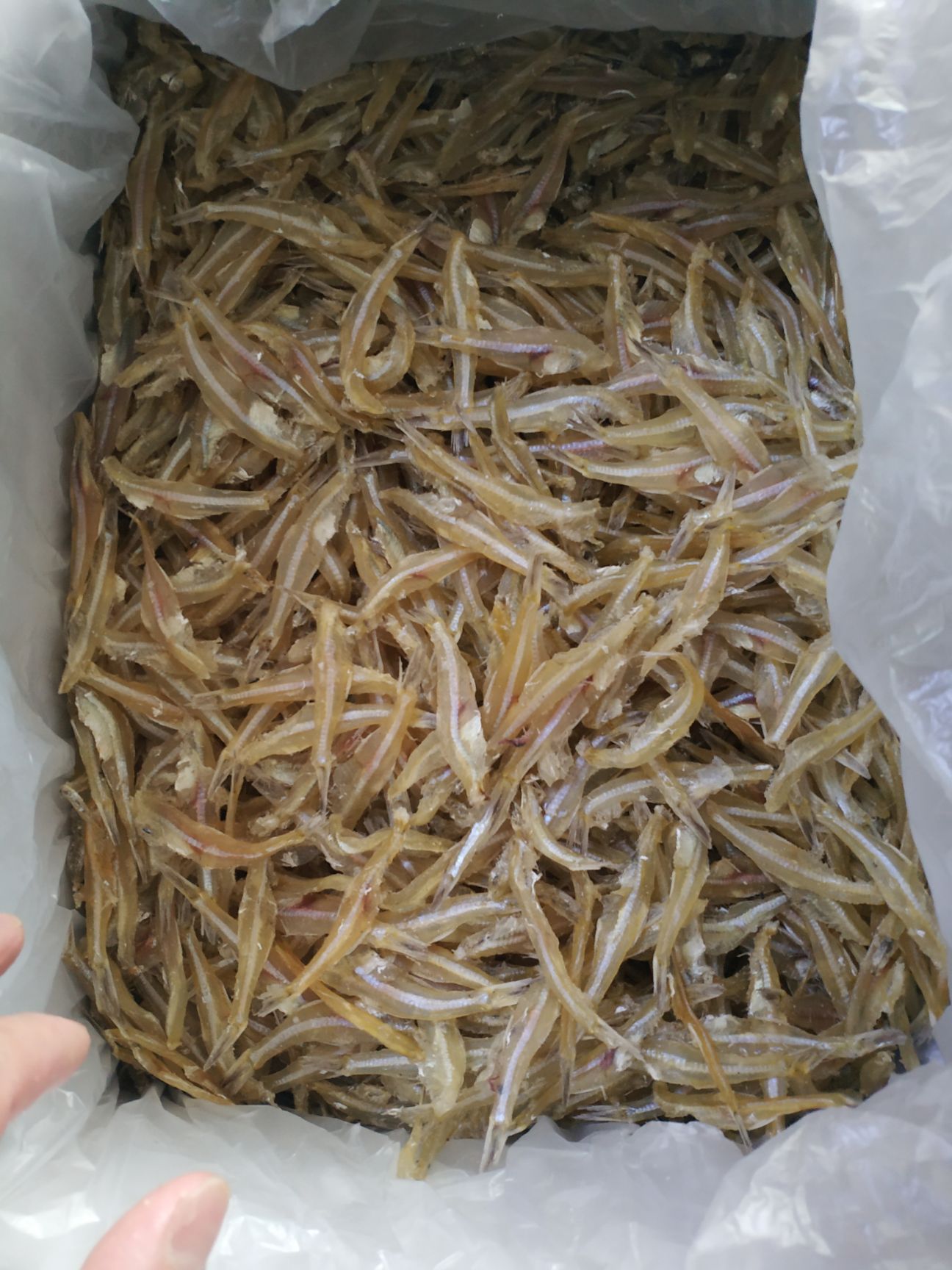 小魚(yú)干  銀魚(yú)，水晶魚(yú)，無(wú)頭白凡魚(yú)，