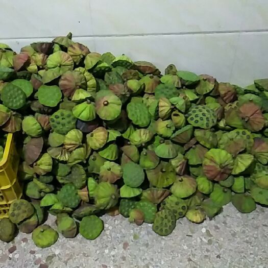 龙南市青莲子 特级 0.99