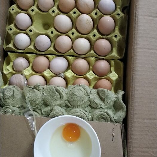 安庆土鸡蛋 食用 箱装