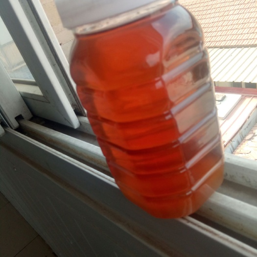 凌源市荆花蜜 塑料瓶装 2年 98% 荆条蜜