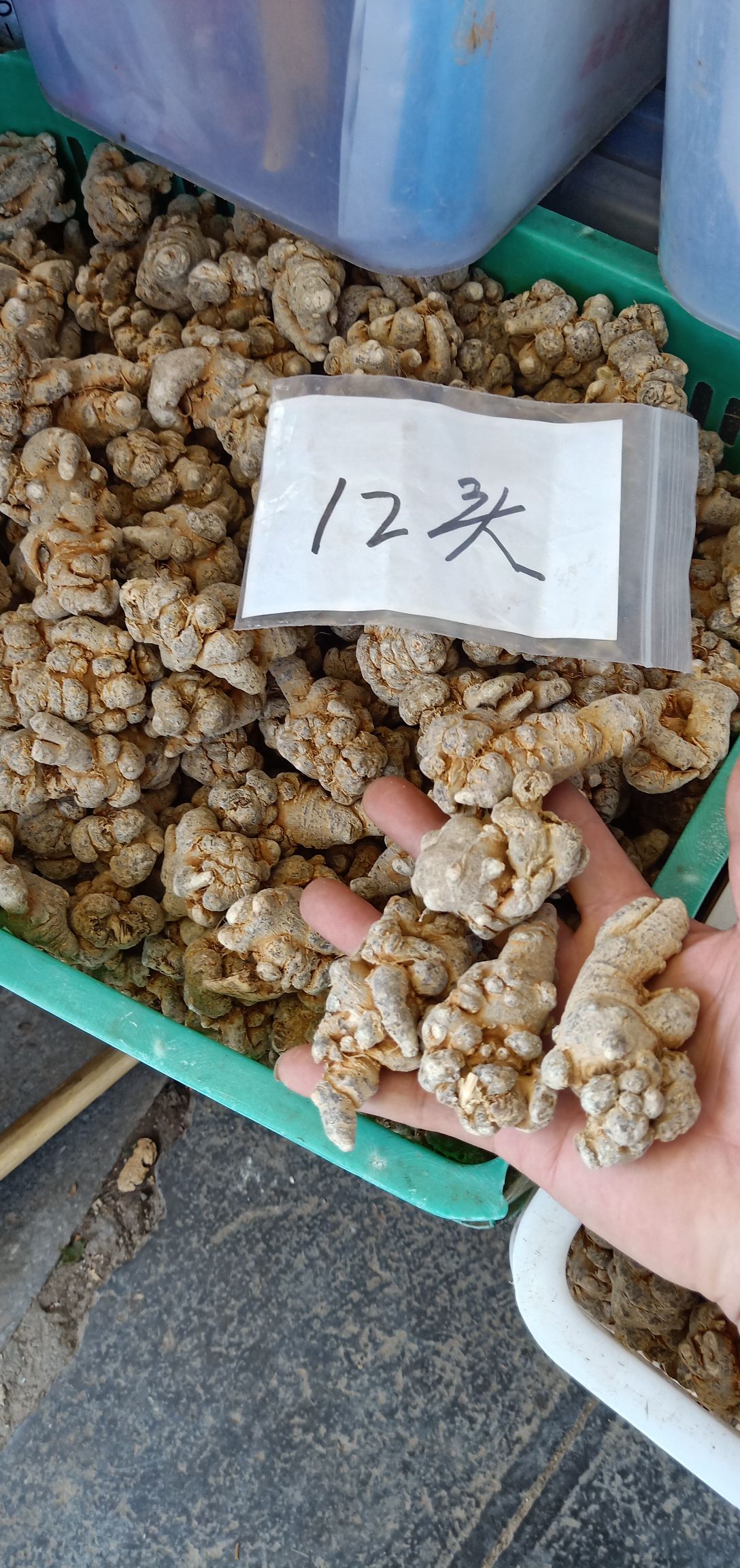 小草坝天麻