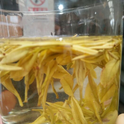 松阳县黄金芽 特级 散装