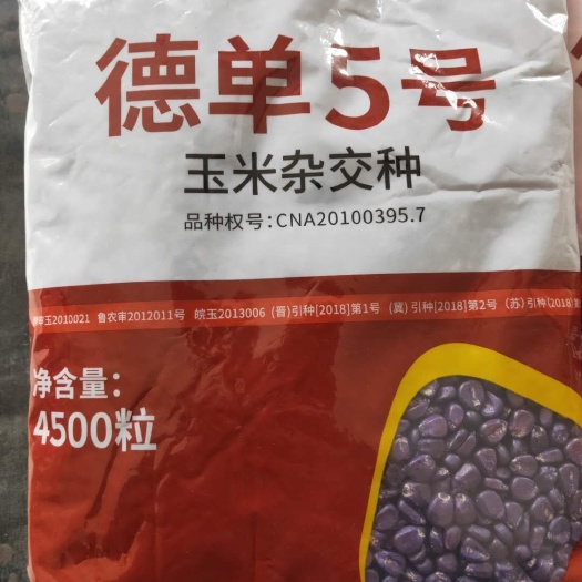 滑县德单5号玉米种子 杂交种 ≥90%
