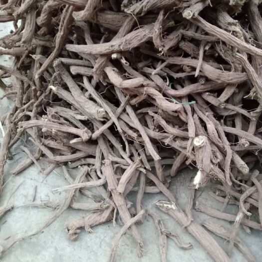 南涧县续断