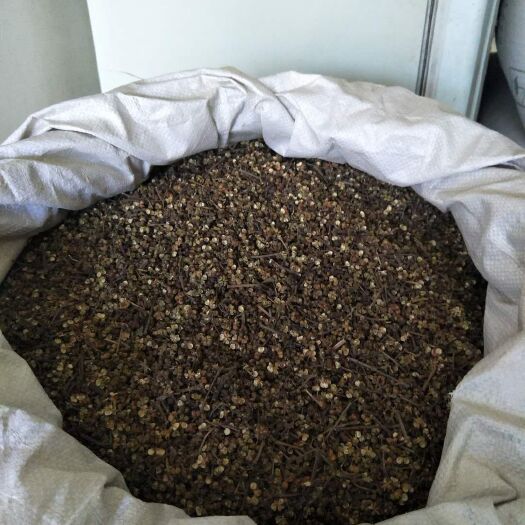 瑞昌市中药材山茱萸