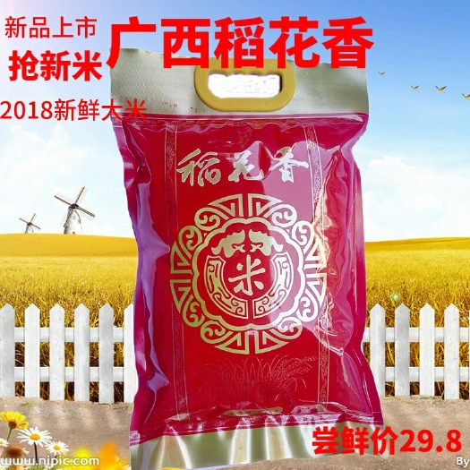 梧州稻花香大米 一等品 晚稻 籼米