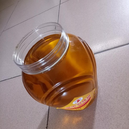 天峨县野生山茶油